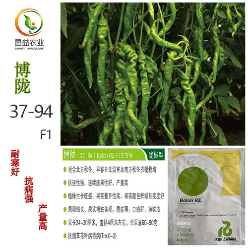瑞克斯旺博陇37-94陇椒种子孑 高产抗病耐寒螺丝椒种子孑籽种苗子