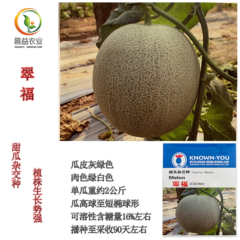 农友翠福甜瓜种籽孑网纹洋香瓜超甜哈密甜瓜种子四季蔬菜种子
