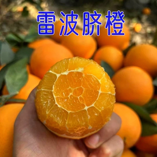 四川凉山雷波脐橙纽荷尔新鲜现摘皮薄多汁9斤包邮孕妇水果甜