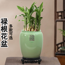 养禄根种植陶瓷花盆绿植植物土培移栽生姜苗盆景禅意风花瓶器皿