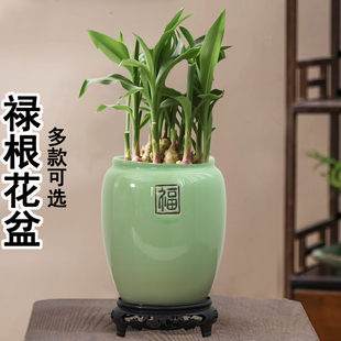 养禄根种植陶瓷花盆绿植植物土培移栽生姜苗盆景禅意风花瓶器皿
