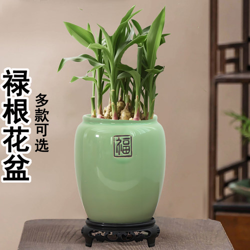 禄根种植陶瓷花盆高颜值姜山盆