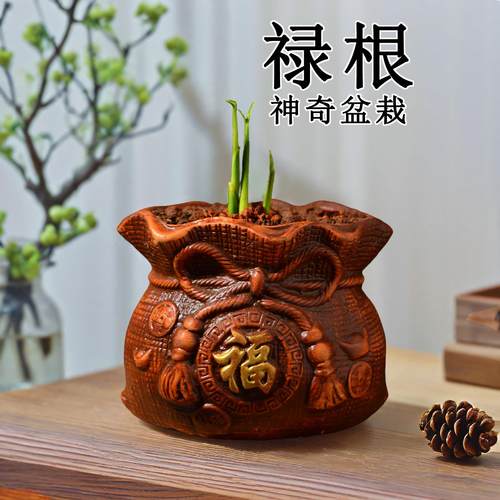 办公室禄根盆栽灵草好养寓意好