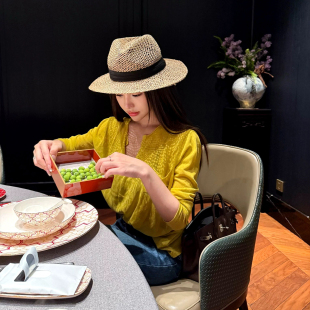 长袖 T恤上衣 PickRui 简约v领 新款 宽松气质时尚 女秋季 睿哥 套头衫