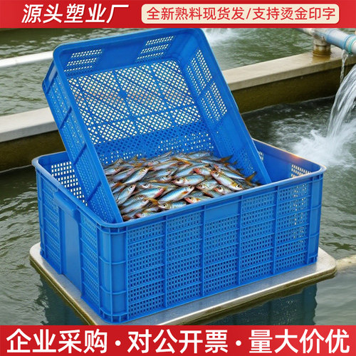密眼筐塑料漏网小孔加厚