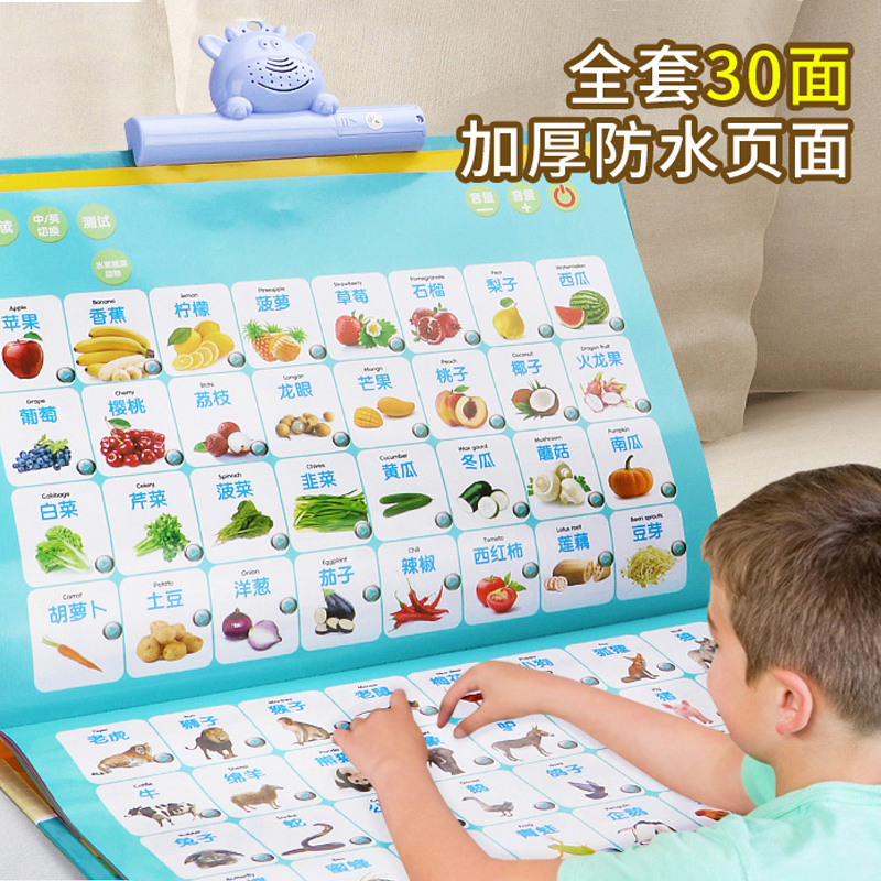 幼儿童有声挂图拼音学习神器早教识字点读发声书宝宝读物益智玩具-封面