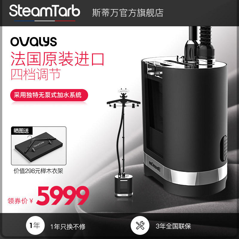 斯蒂万 法国原装进口 挂烫机家用蒸汽商用熨烫机立式熨烫衣服神器在类目 生活电器, 挂烫机中 - 来自Buy2taobao.com提供专业的淘宝代购服务