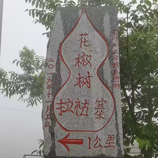 拉祜族花椒树古树200克 勐库小众山头精品适喜高香爆甜茶客9.8分