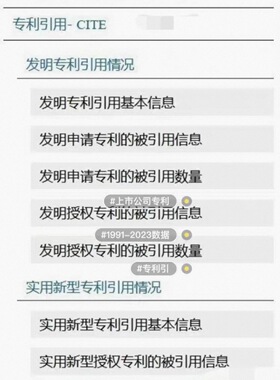 【秒发】1991-2023上市公司专利引用、被引用数据C N R D S