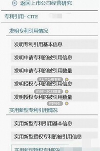 【秒发】1991-2023上市公司专利引用、被引用数据C N R D S