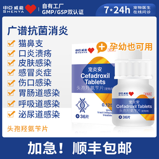 申亚威能猫咪狗狗感冒药阿莫西林特猫鼻支宠物咳嗽效莱速诺消炎片