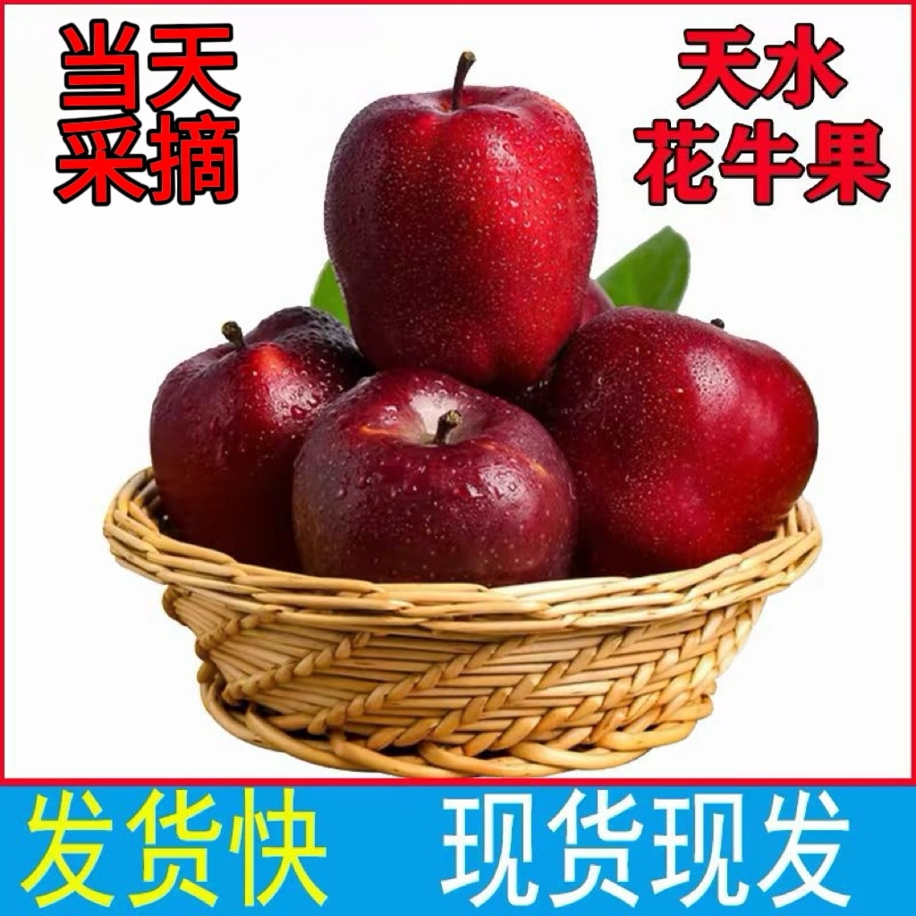 甘肃天水花牛苹果2025新鲜当季粉面孕妇宝宝辅食刮泥平安圣诞水果