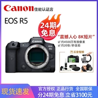 24 -й выпуск интереса -Бесплатный Canon EOS R5 Полно -фрейм -высокий показатель цифровой цифровой Micro 8k Short Film Professional Flagship Micro Single Camera