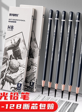尼奥尼哑光素描铅笔美术生专用炭笔速写亚光软中硬碳绘画画笔6b8b14B不反光12比艺考试专用特浓素描工具套装