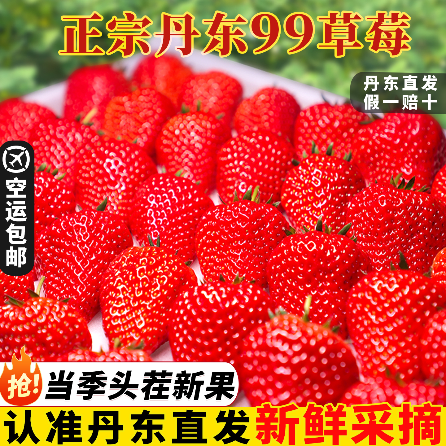 【回购榜TOP】正宗丹东99草莓