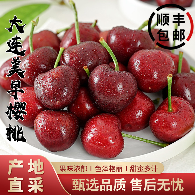 正宗大连大樱桃当季新鲜采摘国产车厘子樱桃顺丰孕妇水果樱桃