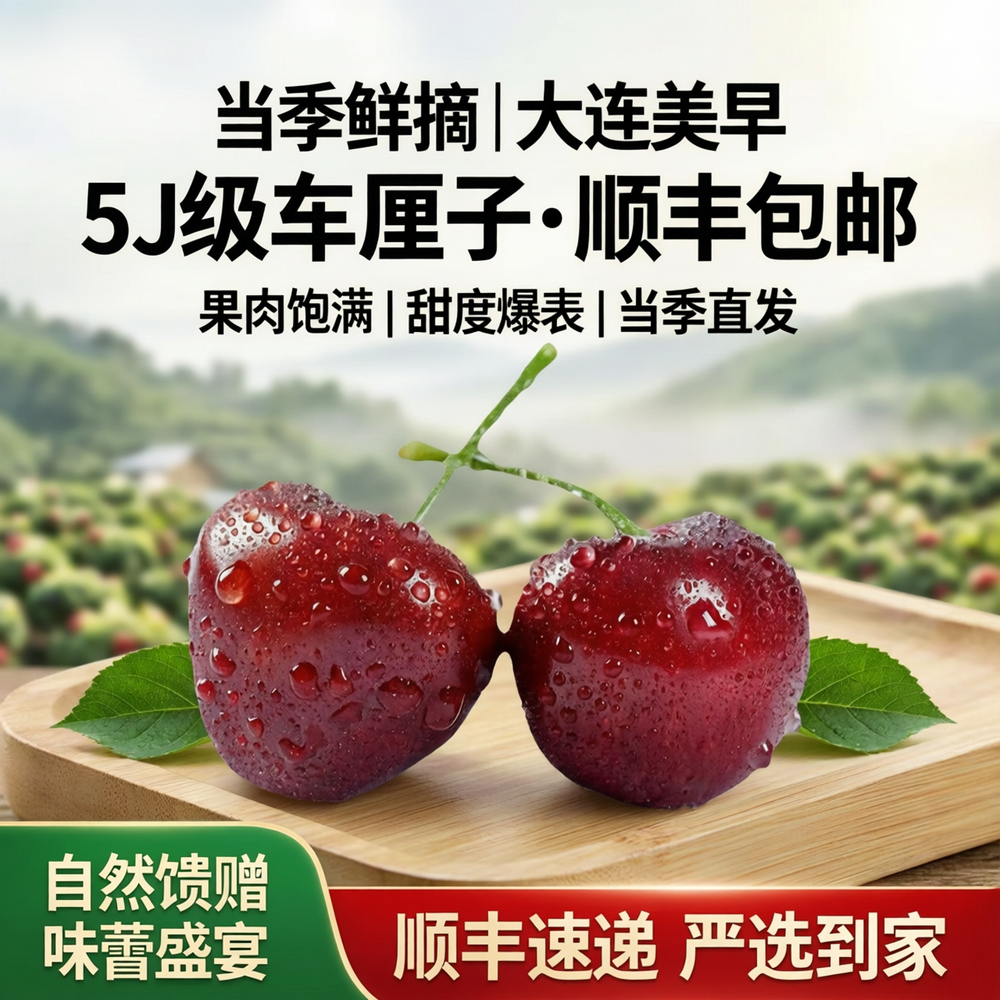 大连美早大樱桃当季新鲜采摘5国产车厘子3j樱桃顺丰5j包邮箱装