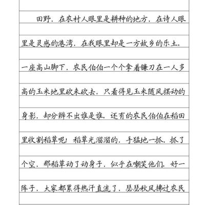 小学优美段落横线格考试