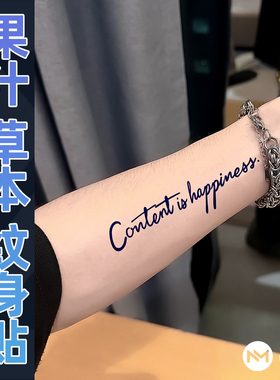 【两张】自由象征果汁草本纹身贴男女手臂半永久持久防水花臂贴纸