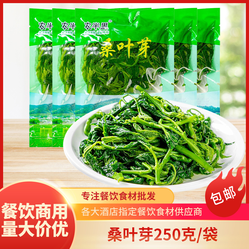 桑叶芽桑芽菜酒店饭店半成品食材