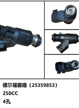适用德尔福电喷系统龙嘉永源 新款三代2孔25360407A4孔摩托喷油嘴