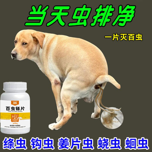 狗狗驱虫药体内打虫药泰迪金毛蛔虫球虫绦虫肠虫清宠物专用驱虫片