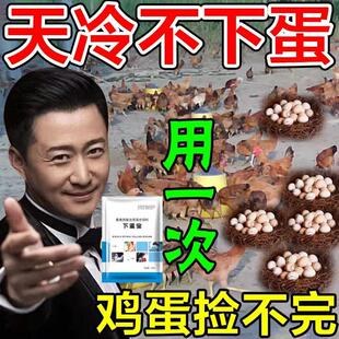 催鸡下蛋鸡鸭鹅禽用蛋多多产蛋灵增蛋素宝灵散软壳蛋鸽子鹌鹑满窝