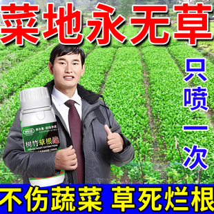 通用速枯长年不长草农用批发恶性杂草开荒根烂生长除草剂 菜地四季