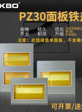 电箱盖面板家用维修换新通用遮挡装饰画盖子PZ30强电箱罩子铁盖板