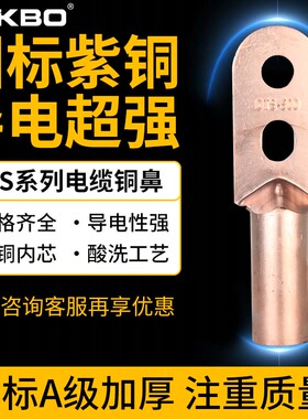 国标双孔铜鼻子25接线端子35紫铜镀锡50加厚70铜线耳95DTS120平方