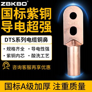 国标双孔铜鼻子25接线端子35紫铜镀锡50加厚70铜线耳95DTS120平方