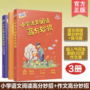 作文高分妙招 实战练习册 超人气花生酥 3册 小学生语文阅读 30堂作文课 12岁小学生语文写作文阅读理解辅导图书籍 花生酥老师