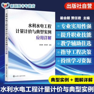 工程造价项目管理工作人员及高等院校参考书籍 水利水电工程费用 水利水电工程计量计价与典型实例应用详解 水利水电工程造价概述