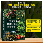 备 正版 二十二种果树轻简化管理装 果树产业栽培技术发展现状 柑橘香蕉荔枝草莓枇杷轻简栽培图书籍 主要常绿果树优质轻简栽培技术