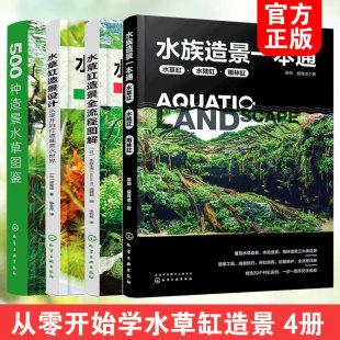 500种造景水草图鉴 水草缸造景设计 水草缸造景全流程图解 全4册 水草缸造景工具图书籍 水族造景一本通 零基础学水草养殖水草造景