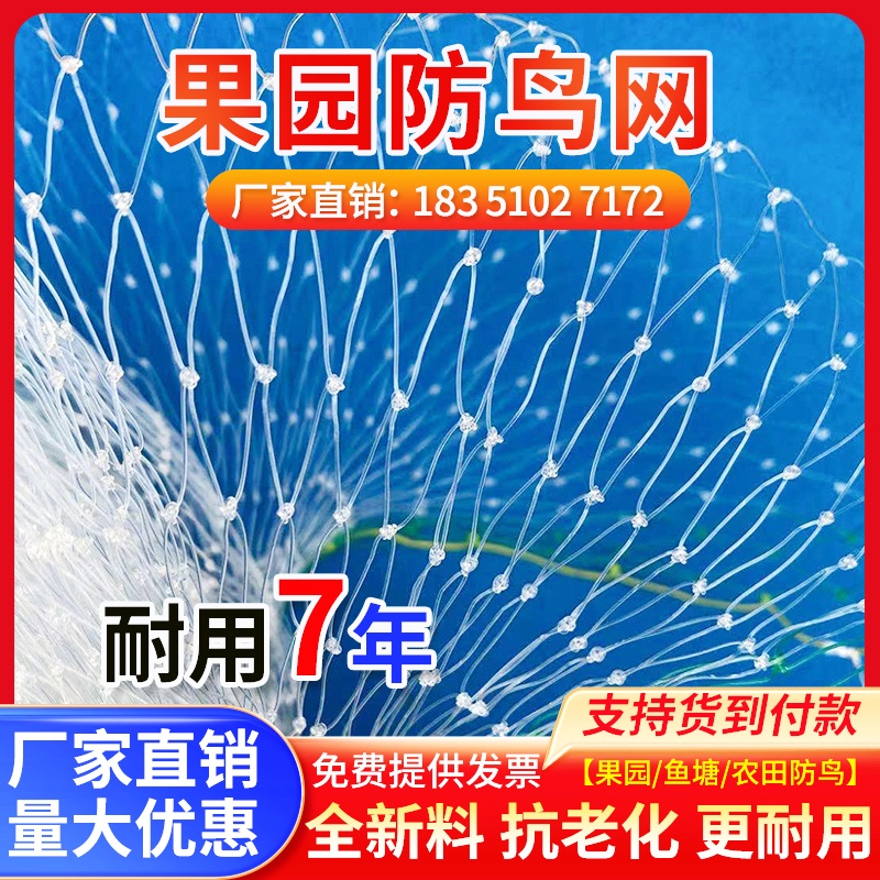 防鸟网草莓大棚果树樱桃葡萄果园防鸟用网尼龙棕丝网农业鱼塘天网