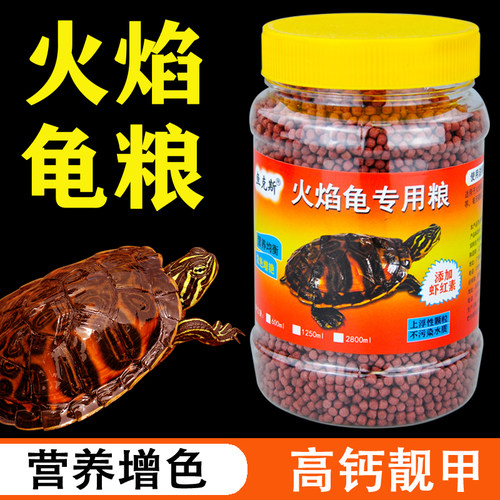 火焰龟，黄缘龟发色专用