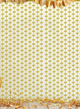 2025新款镭射皇冠派对雨丝帘生日布置装饰用品金色紫色门帘背景帘