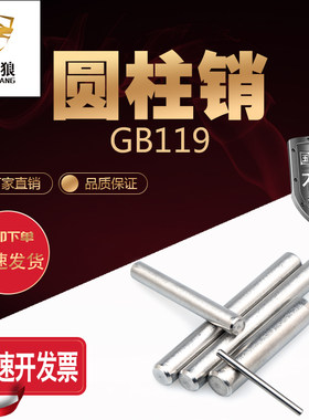 304不锈钢圆柱销GB119实心销钉