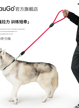BeauGo狗狗牵引绳p绳p链牵引绳大型犬牵引绳宠物训犬专用狗牵引绳