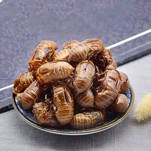 100克包邮野生爬了猴虫蜕/虫退/知了皮蝉蜕蝉蜕中药材农家壳蝉脱