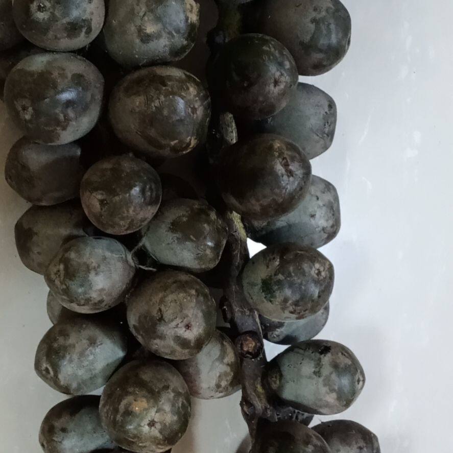 越南新鲜追风果中药材大果泡酒野生刺虎12个涂皮肤外用纯天然鲜果