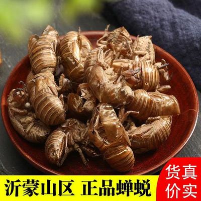 无泥土干净无泥优质正品蝉蜕皮中药材120g可打粉知了壳蝉蜕粉婵蜕