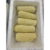 14个东北软糯香甜黄白8公分粘玉米段 冷冻保存不是真空