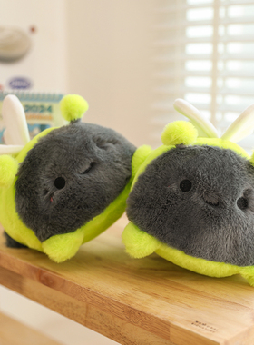 会发光萤火虫玩偶创意毛绒玩具公仔绿色抱枕娃娃女孩闺蜜生日礼物