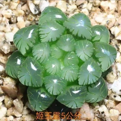 阳台办公桌简单十二卷