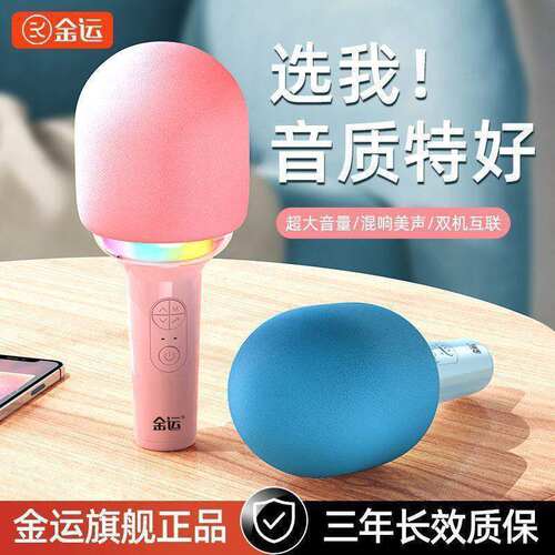 V62024新款L8带灯麦克风话筒音响一体k歌儿童无线家用声卡唱