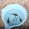 清道夫魚活體淡水冷水魚草缸魚缸清潔工專吃魚屎藻類垃圾殘余飼料