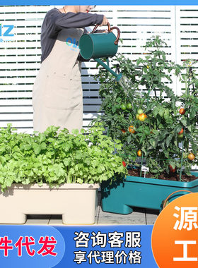 欧林泽阳台种菜盆加厚长方形花盆蔬菜种植盆种植箱种菜箱