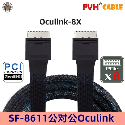 FVH转接线PCI-E转接线